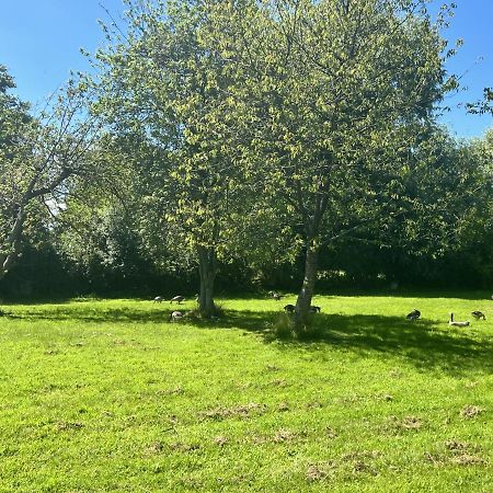 Adorable Two Bed Norfolk Broads Holiday Home - River Views With Moorings & Fishing Stalham Exterior foto